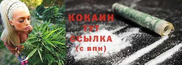 соль ск Балабаново